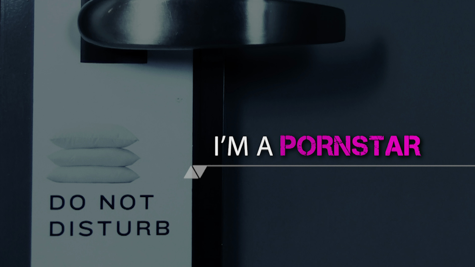 im a porn star logo